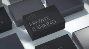 dnb private banking.jfif