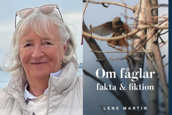 Skärmbild 2024-09-25 223305.png